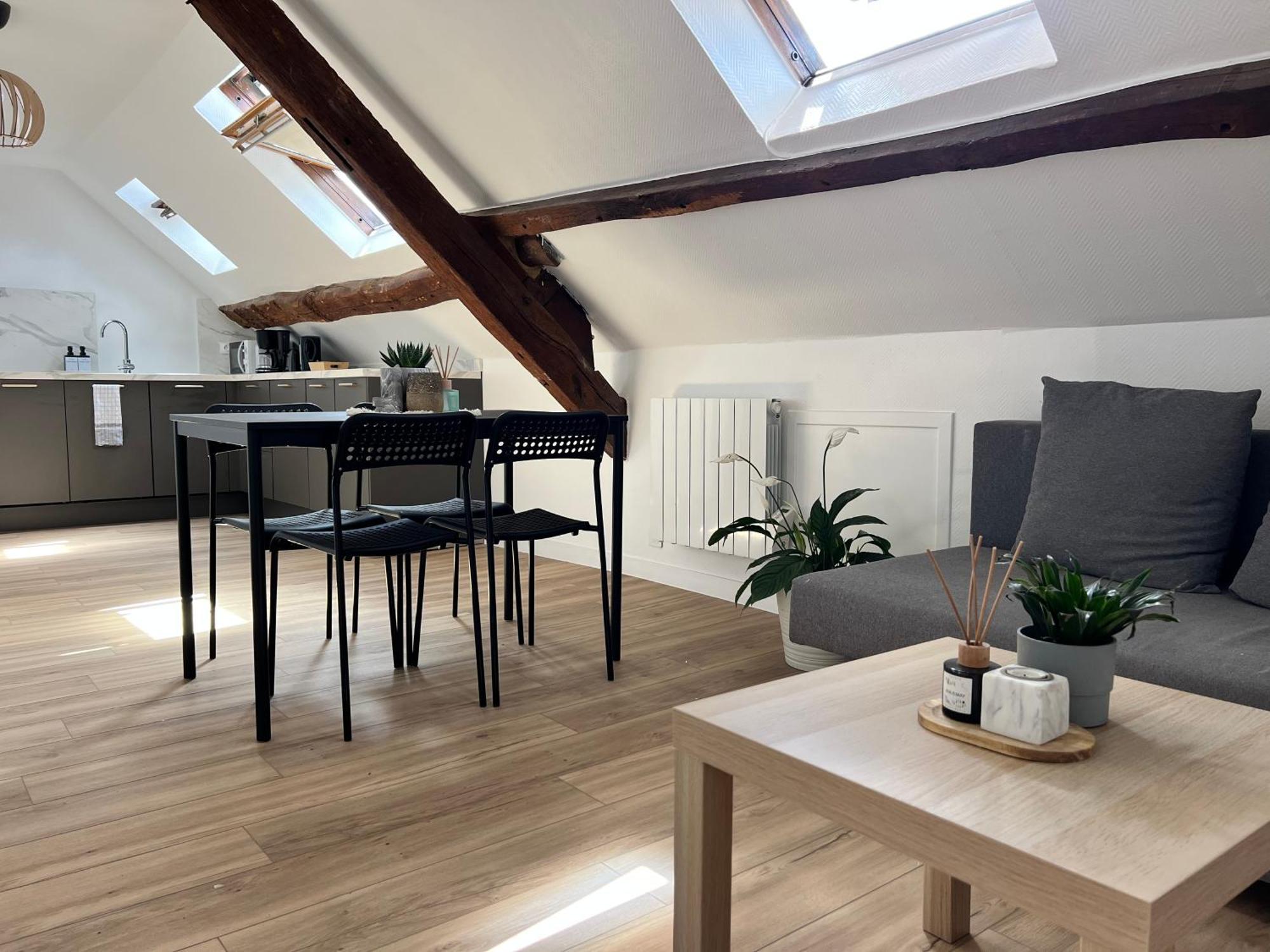 Appart Asterix Cdg Parc Expo Paris Chantilly Appartement Plailly Buitenkant foto