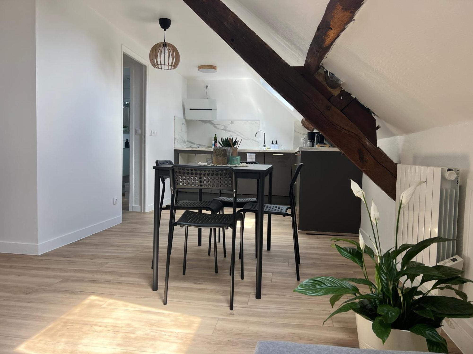 Appart Asterix Cdg Parc Expo Paris Chantilly Appartement Plailly Buitenkant foto